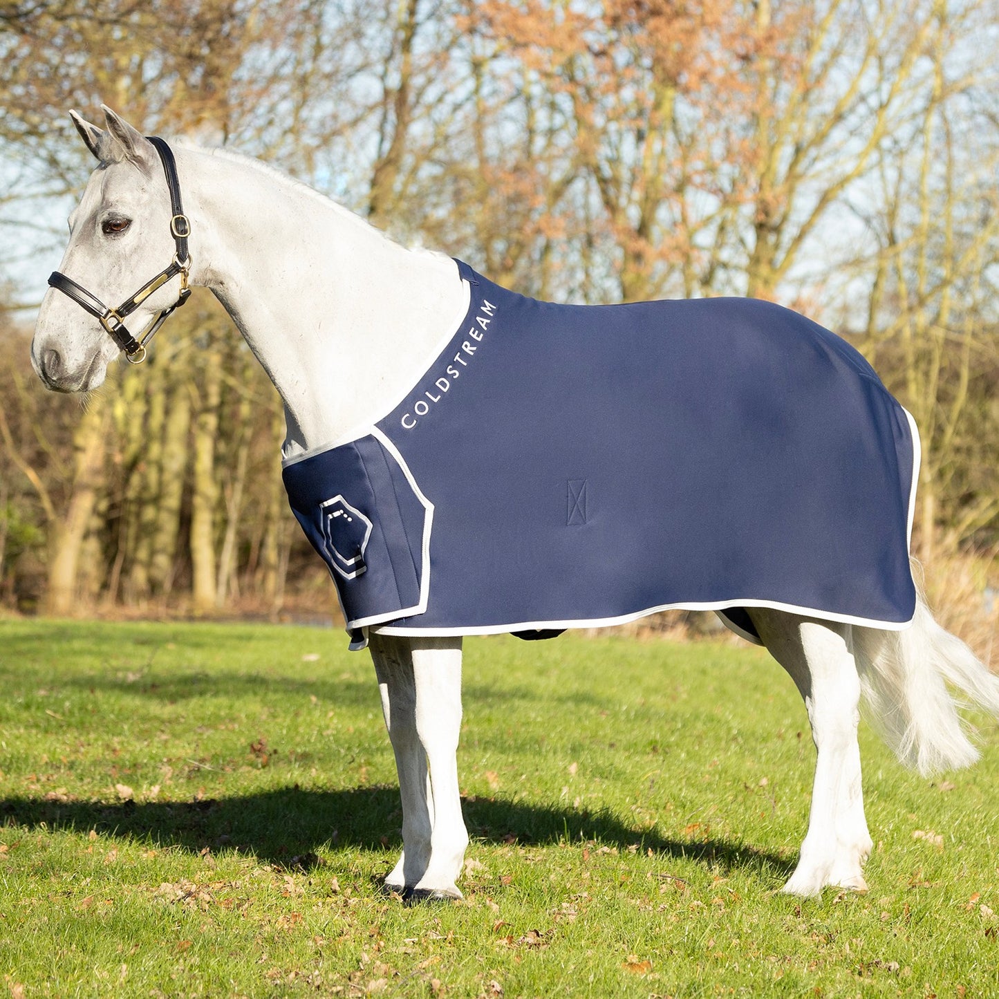 Coldstream Newton Show Sheet Navy - 6' 0"