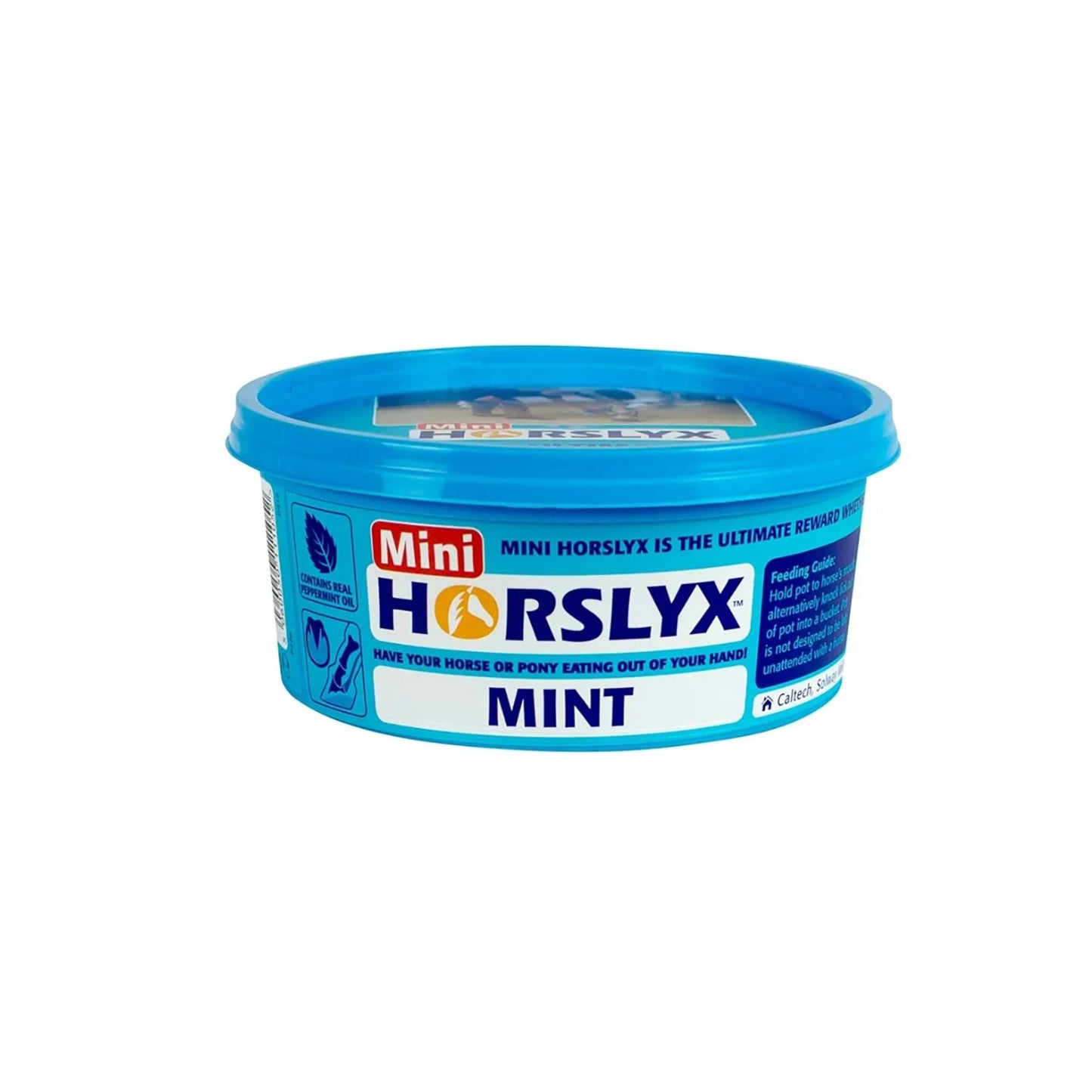 Horslyx Mini Licks Mint - 650 Gm