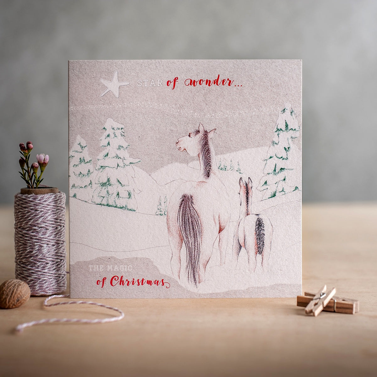 Deckled Edge Christmas Star of Wonder