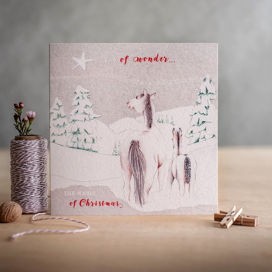 Deckled Edge Christmas Star of Wonder