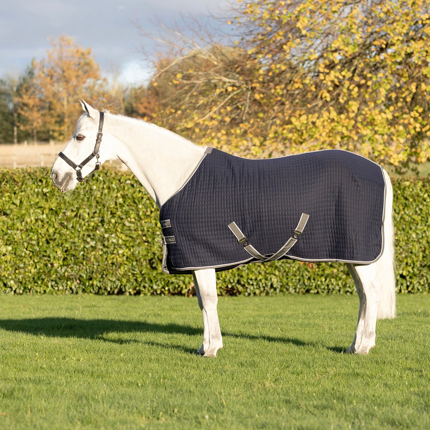 DefenceX Shield Thermal Rug Navy - 6' 3"