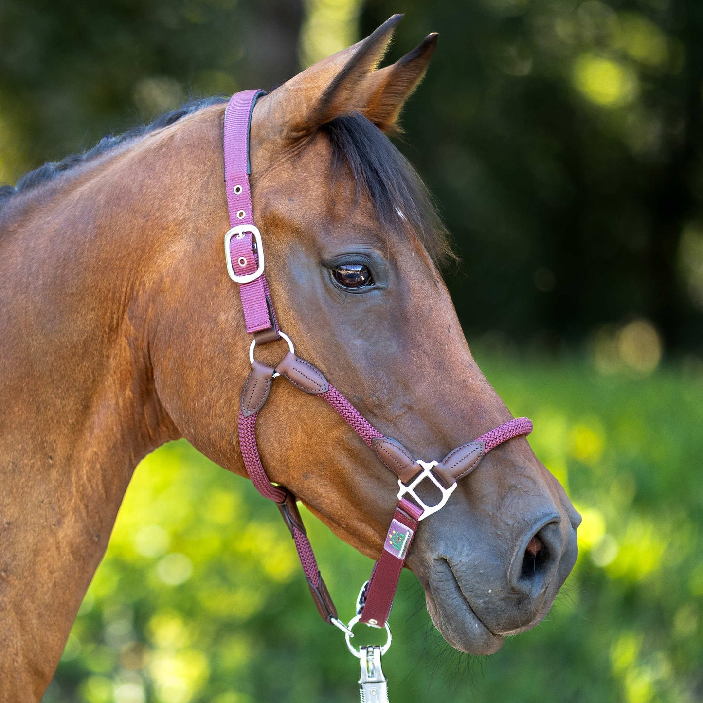 USG ‘Dublin’ Headcollar