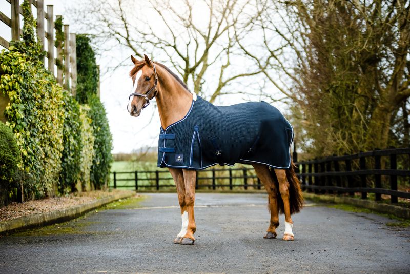 Equisential Shannon Air Cooler Rug