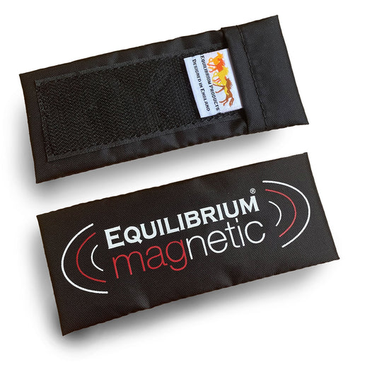 Equilibrium Magnetic Spare Magnet