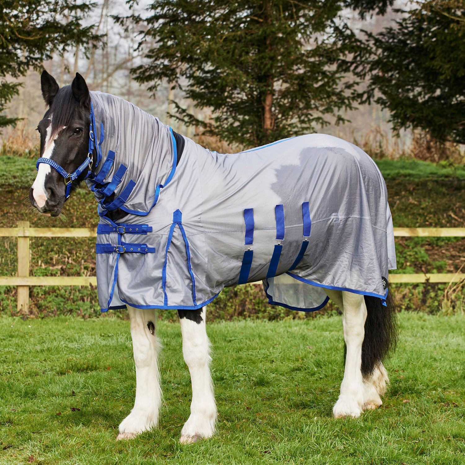 Firefoot Fixed Neck Fly Rug Grey/Blue – Craftwear Equestrian