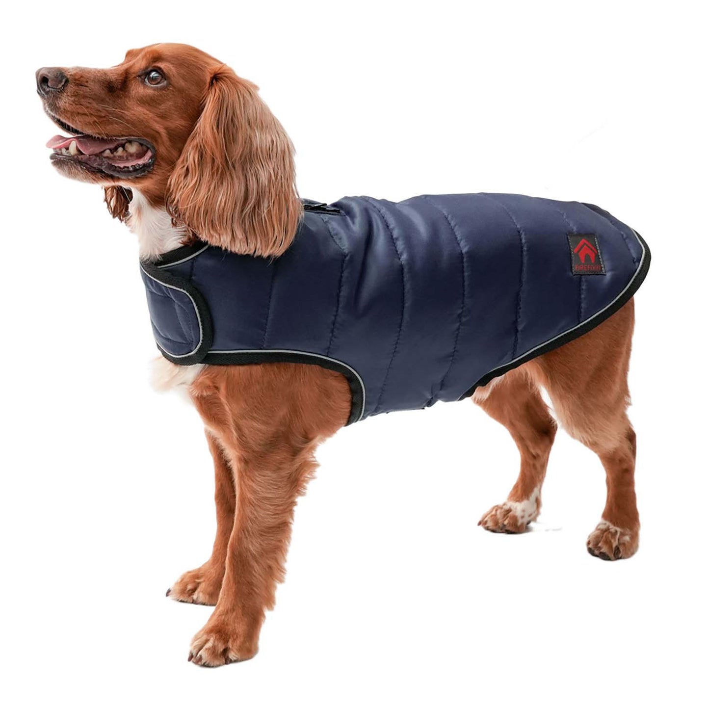 Firefoot Quilted Dog Coat