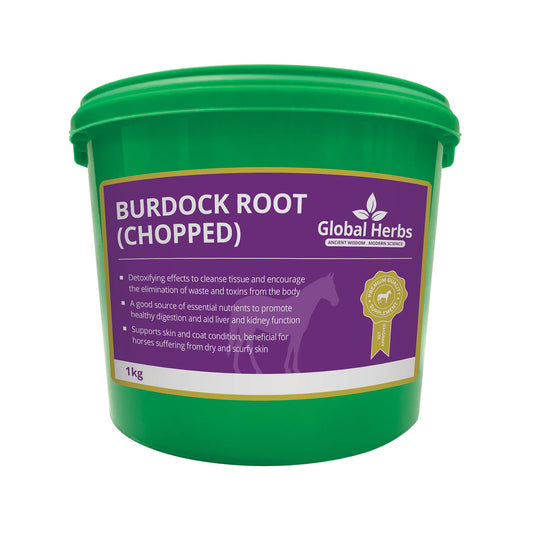 Global Herbs Burdock Root (Chopped)