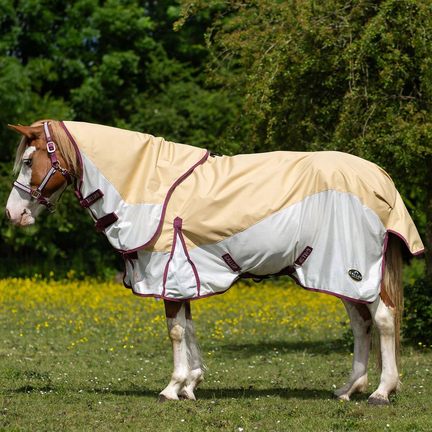 Gallop Trojan Dual Turnout Fly Rug Beige