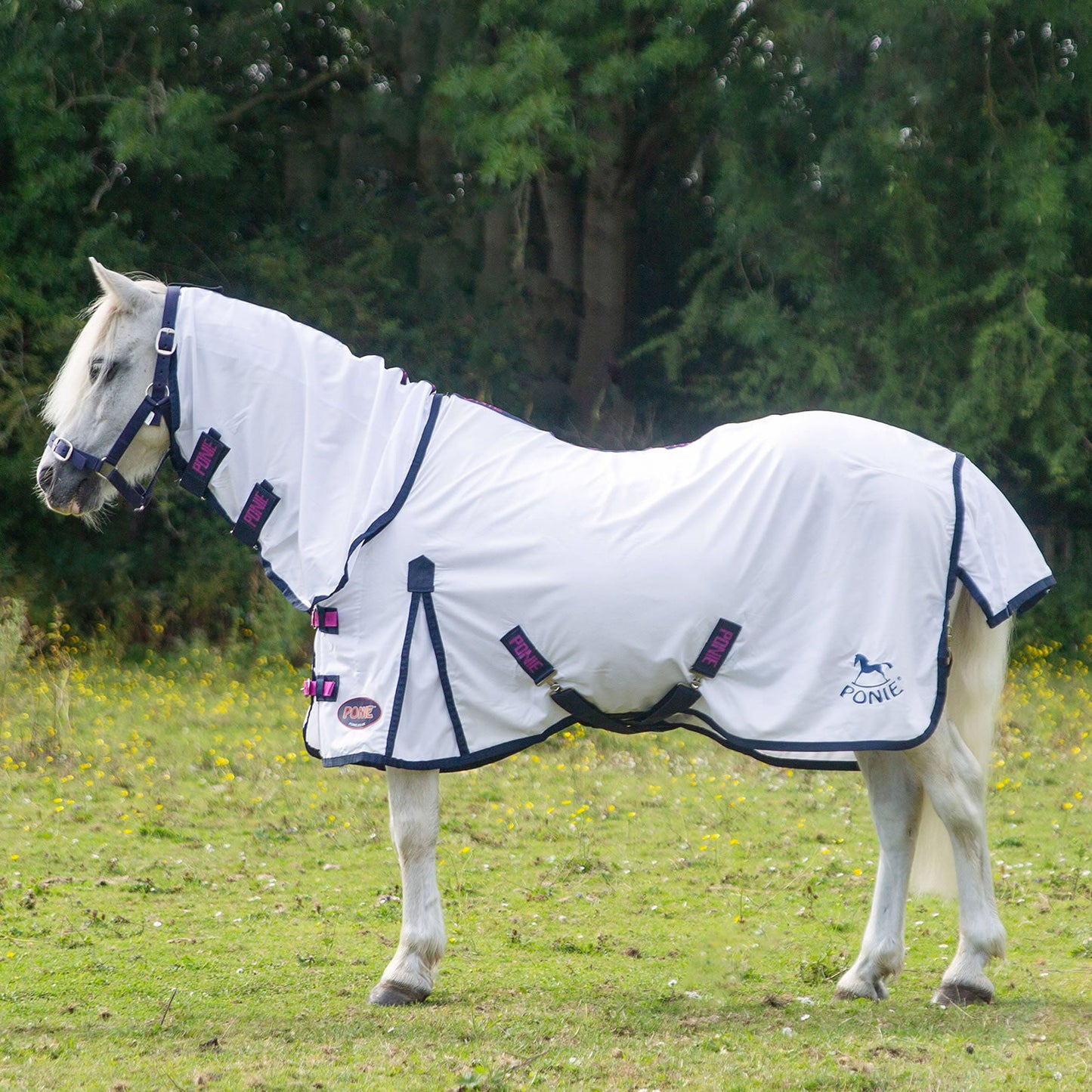Gallop Ponie Essentials Classic Fly Rug Combo White
