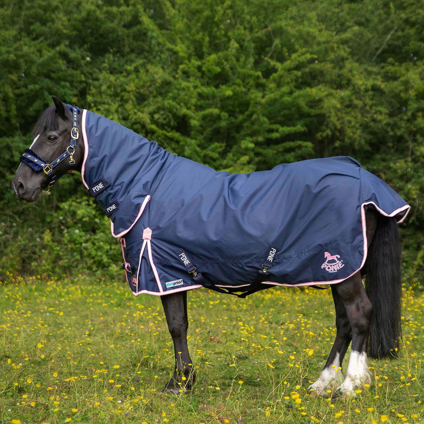 Gallop Ponie Duraproof 50g Turnout Combo