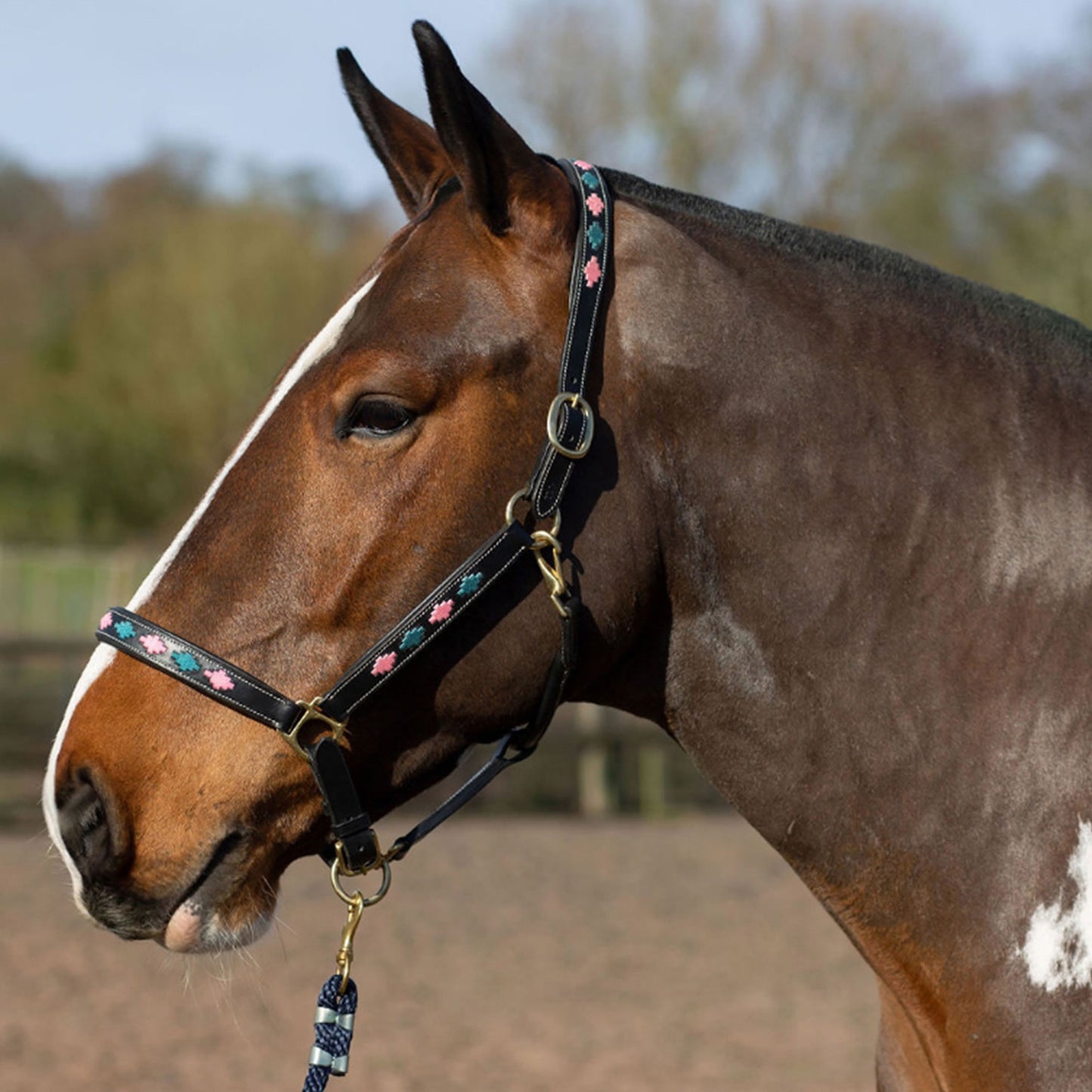 Gallop Diamond Padded Leather Headcollar