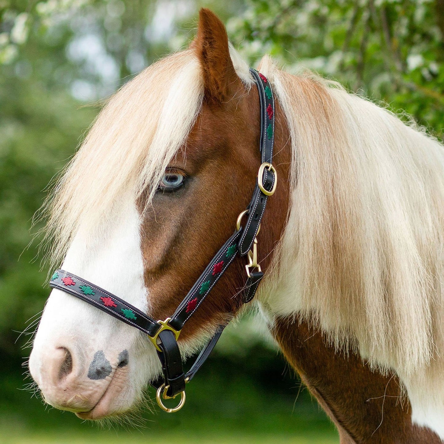 Gallop Diamond Padded Leather Headcollar
