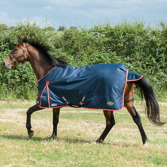 Gallop Trojan Duraproof 200g Turnout Navy
