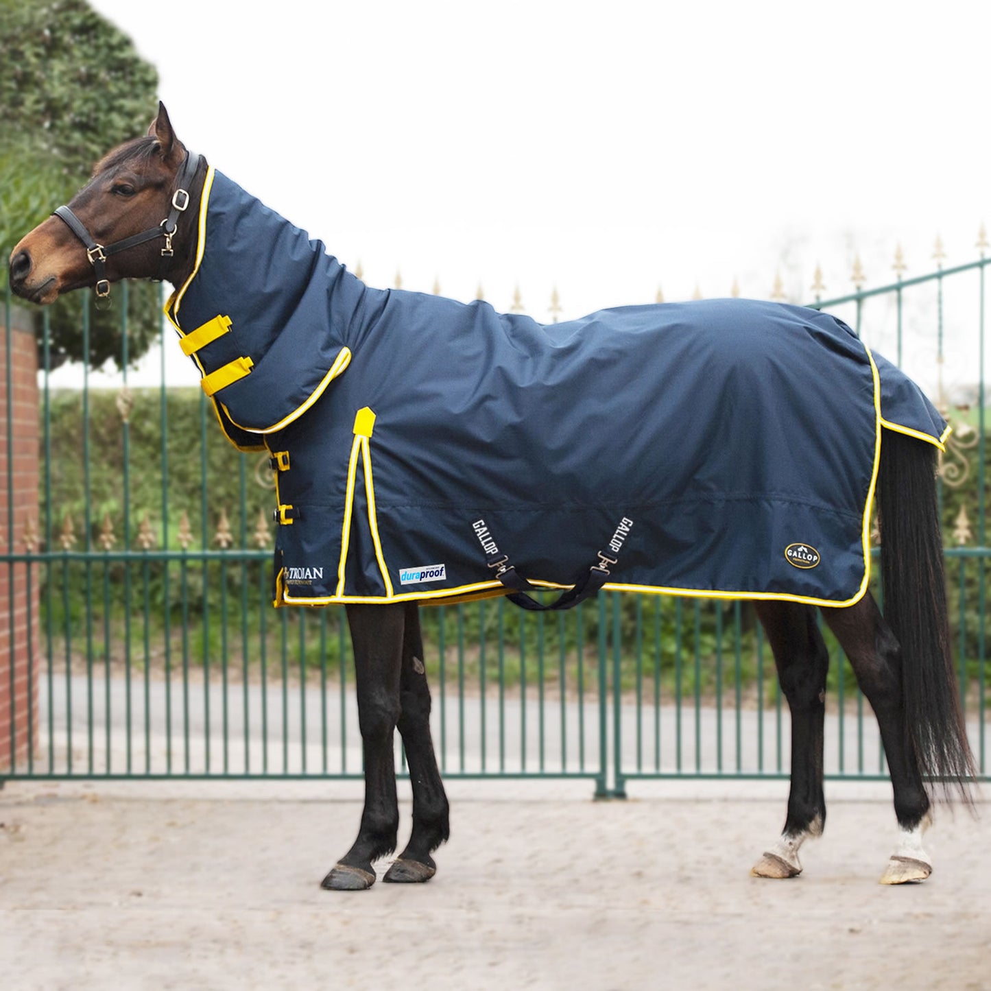 Gallop Trojan Duraproof 200g Turnout Combo Navy