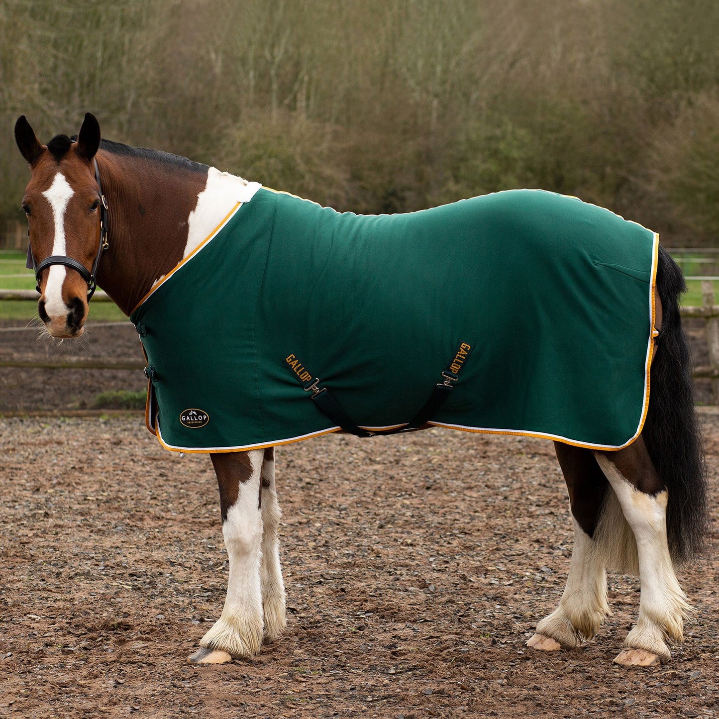 Gallop Ponie Tiddlywinks Jersey Cooler Rug