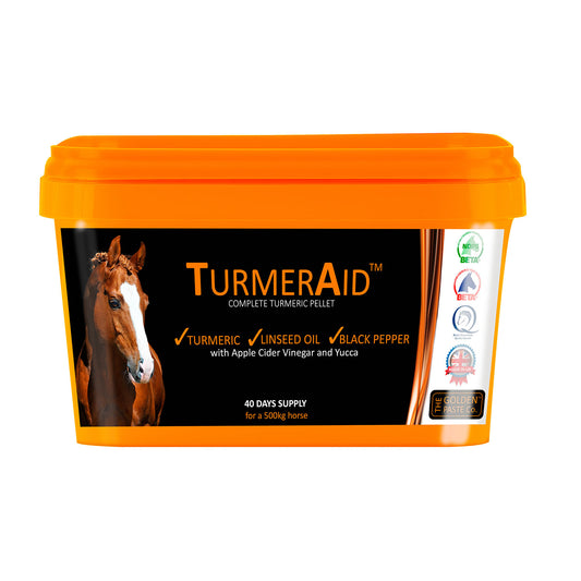 Golden Paste Company TurmerAid