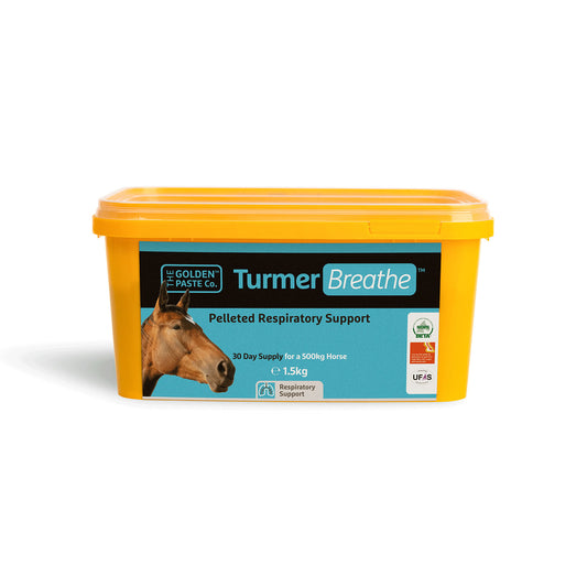 Golden Paste Company TurmerBreathe