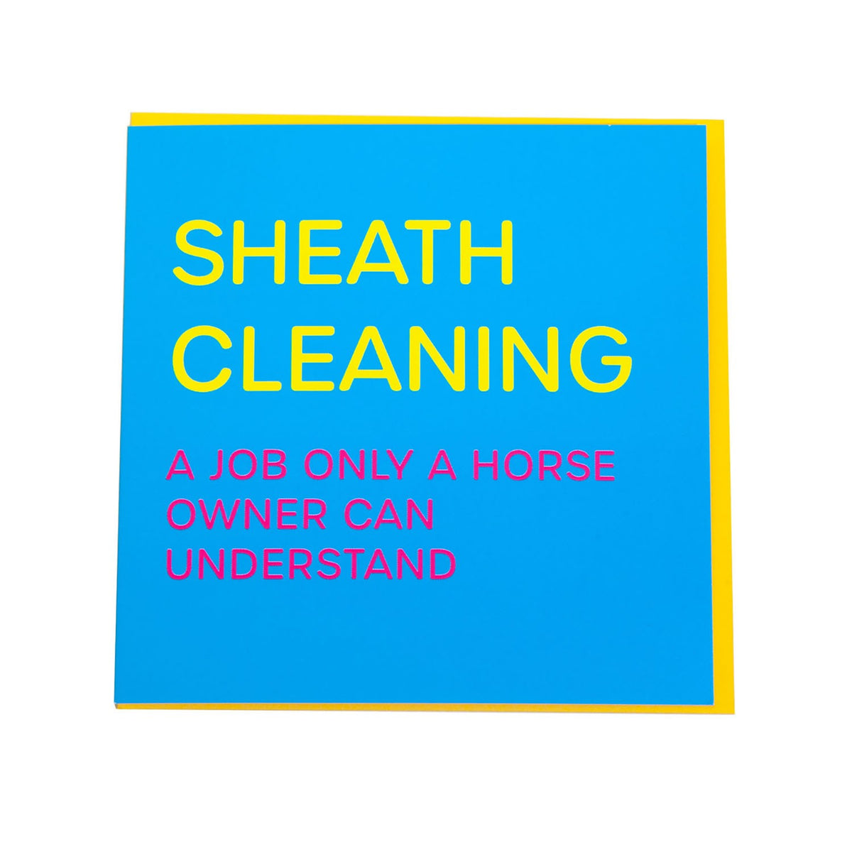 Gubblecote Humourous Greetings Card Sheath Cleaning