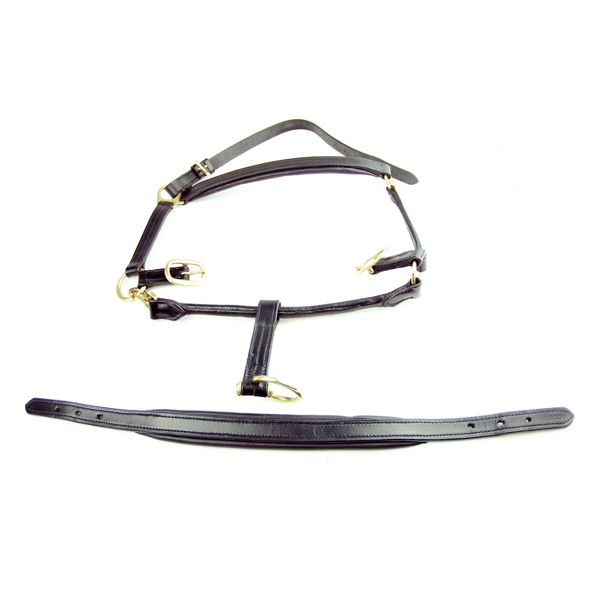 Ascot Padded Leather Head Collar