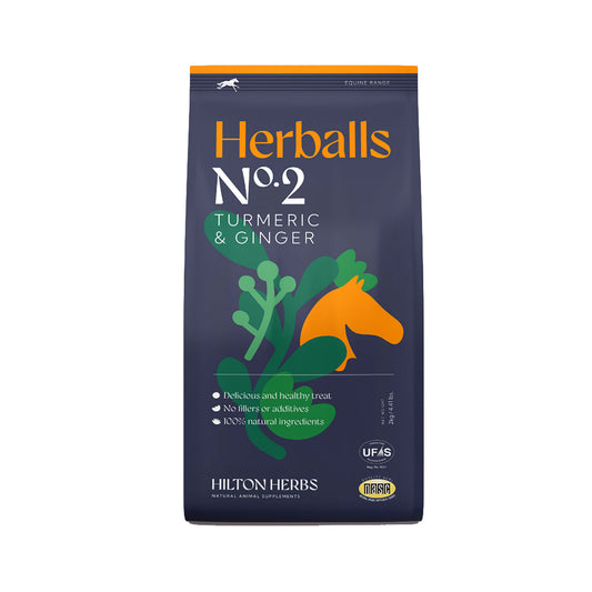 Hilton Herbs Herballs No2 Turmeric & Ginger