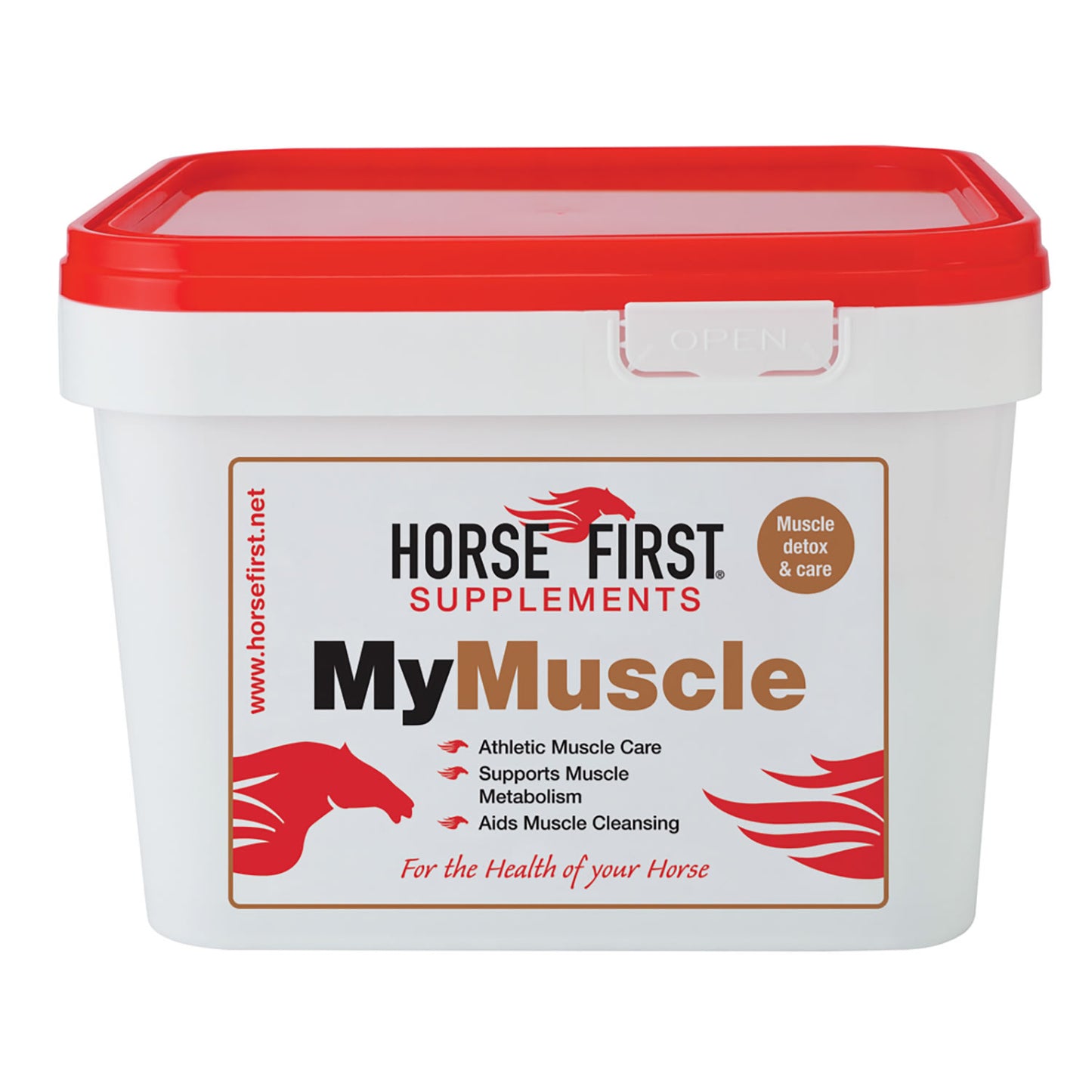 Horse First My Muscle