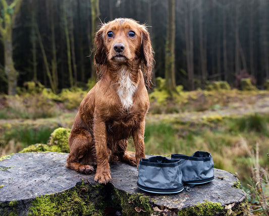 Henry Wag Snaffle Pack Bowl Set