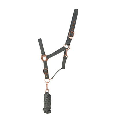 Hy Equestrian Rose Gold Headcollar & Lead Rope