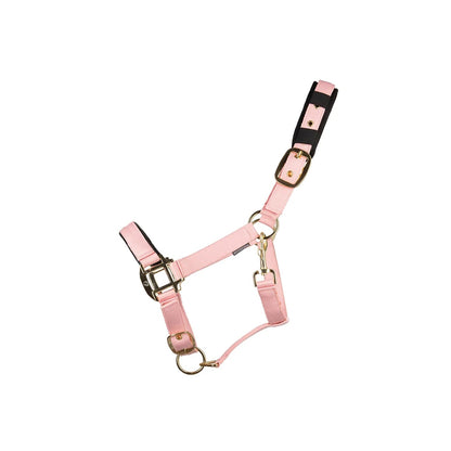 Hy Equestrian Deluxe Padded Headcollar