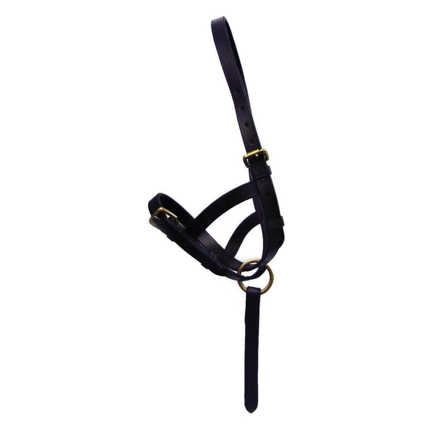 Hy Equestrian Leather Foal Slip Black - Small