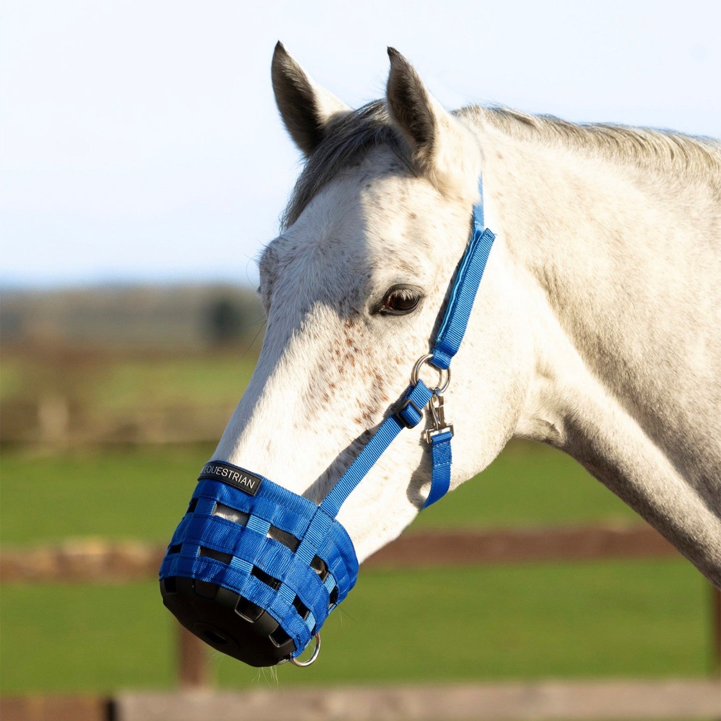 Hy Equestrian Muzzle Blue - Full