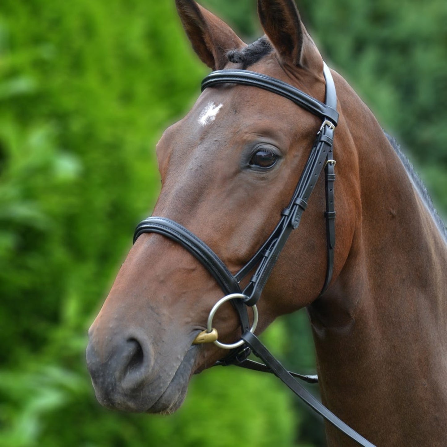 Hy Equestrian Padded Cavesson Bridle/Rubber Grip Reins Black - Small Pony 1/2''