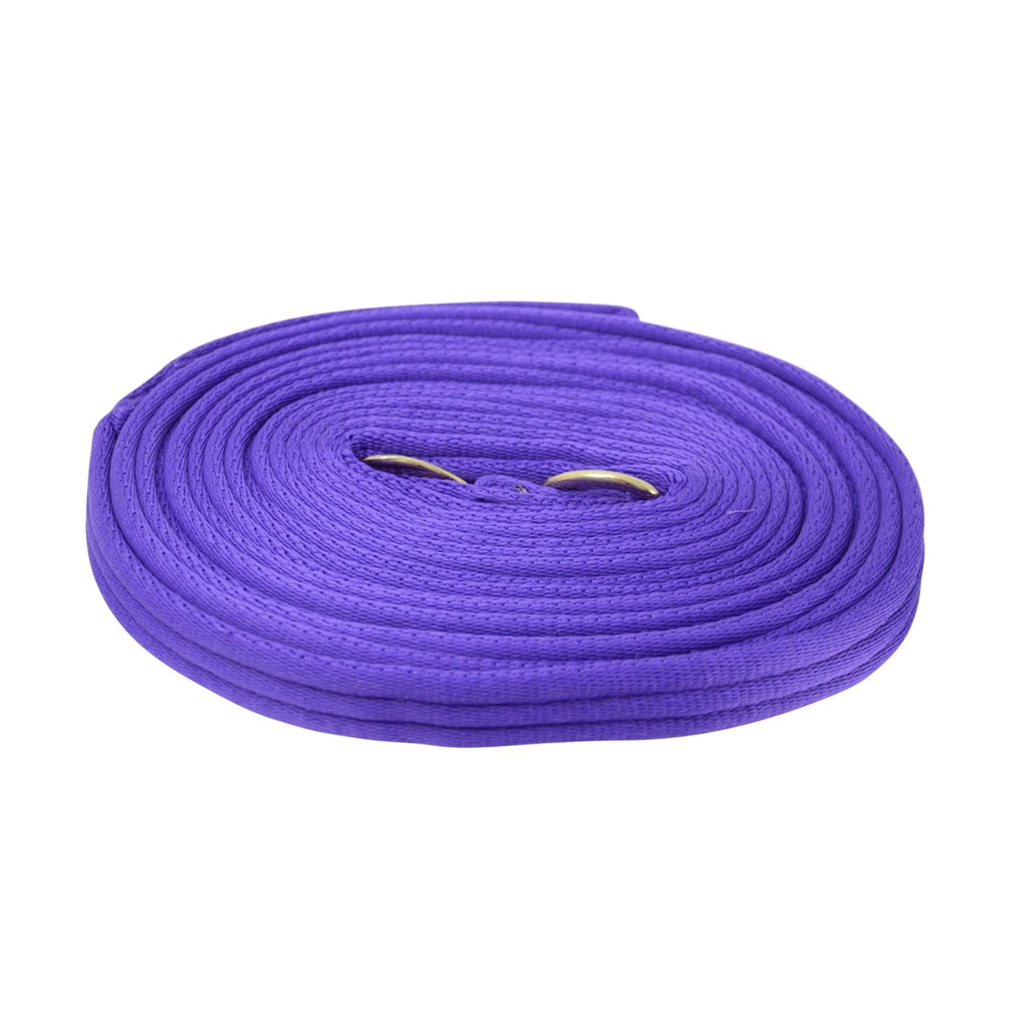 Hy Equestrian Soft Webbing Lunge Rein
