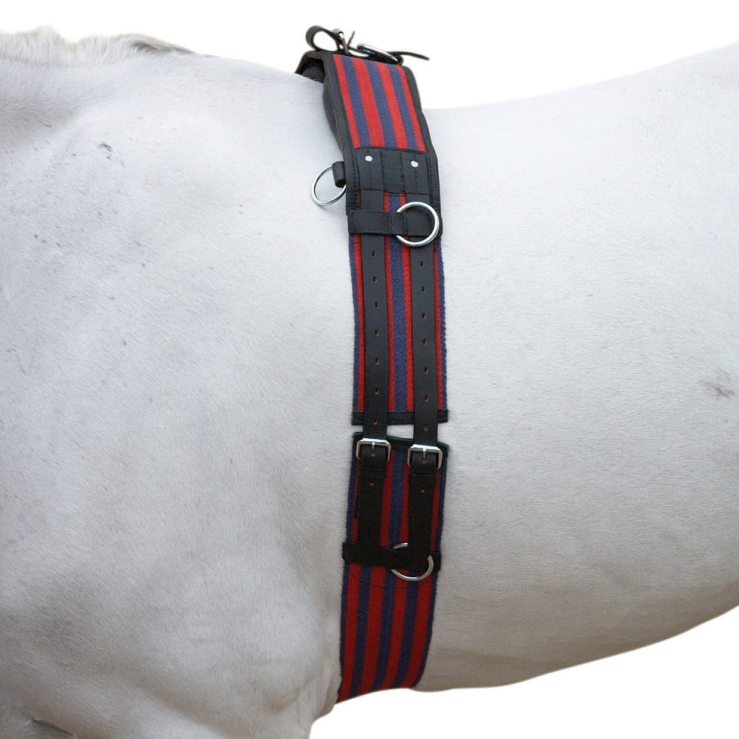 Hy Equestrian Training Roller Blue/Red - Cob
