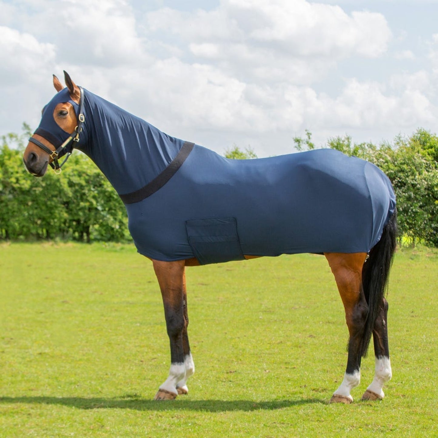 Hy Equestrian Lycra Flex Rug with Belly Flap Navy - Pony