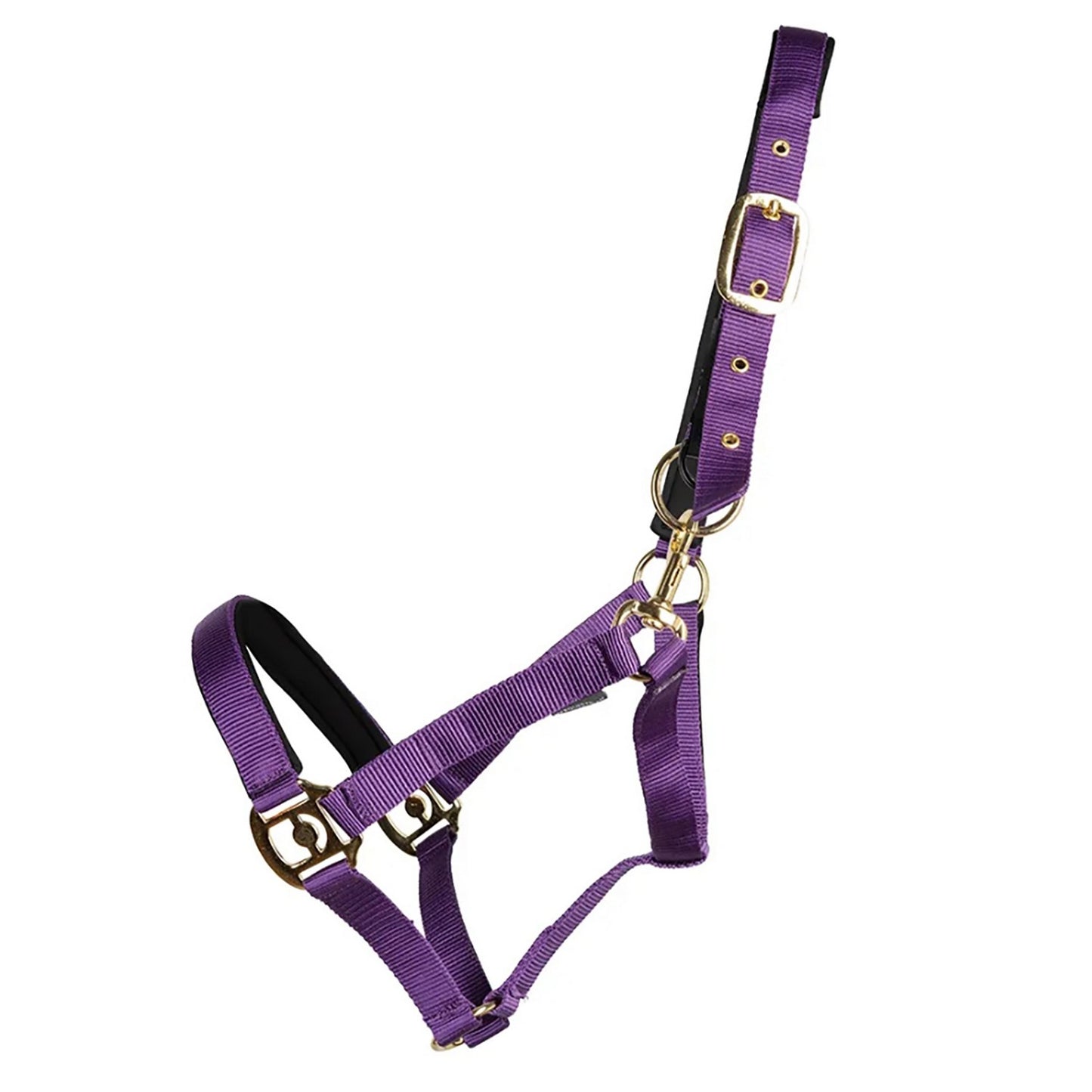 Hy Equestrian Fieldsafe Headcollar