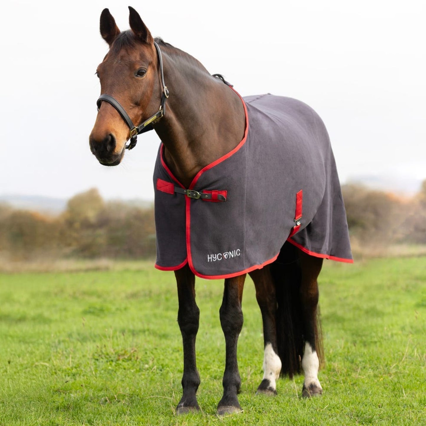 HyCONIC Fleece Rug Charcoal/Red