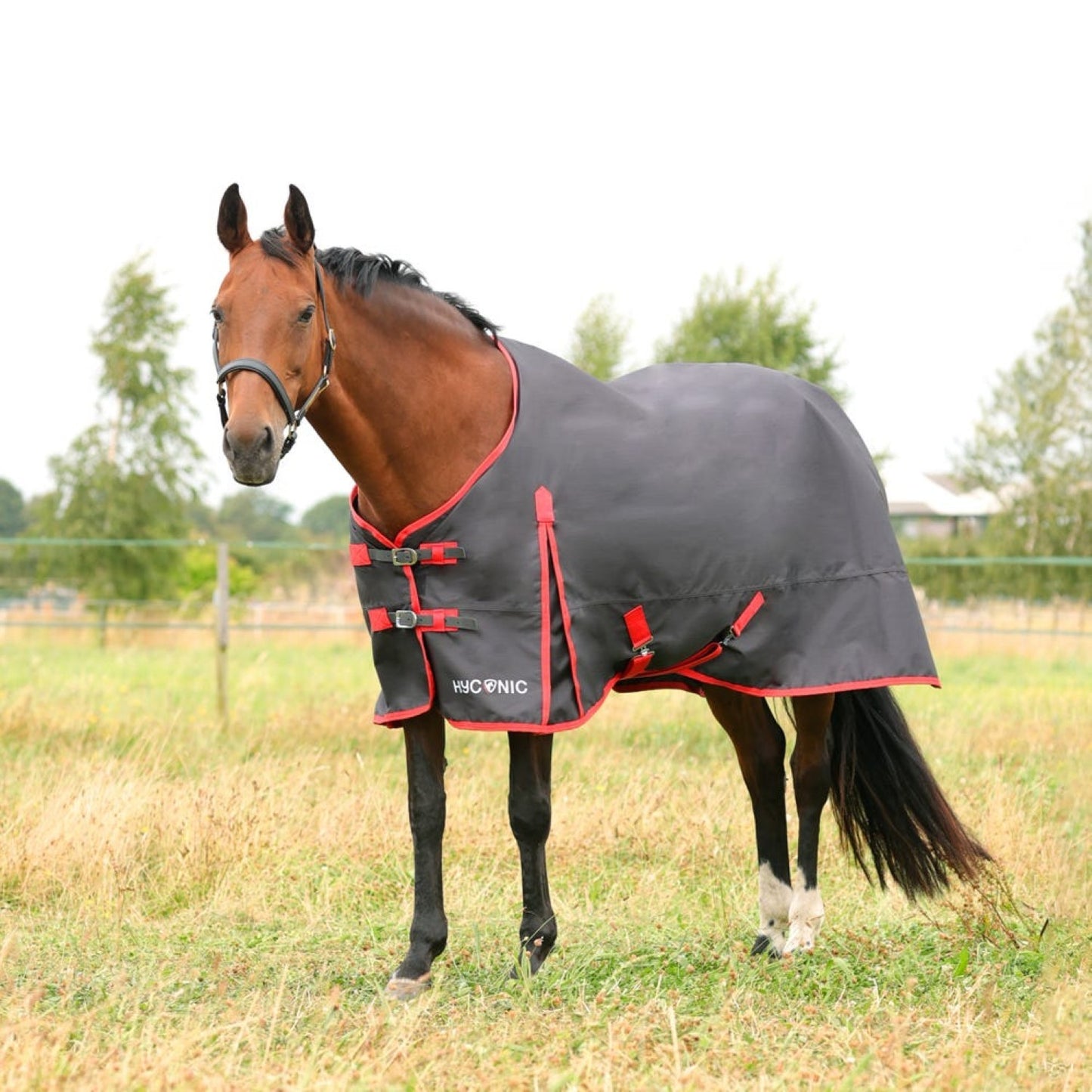 HyCONIC 0g Turnout Rug Charcoal/Red