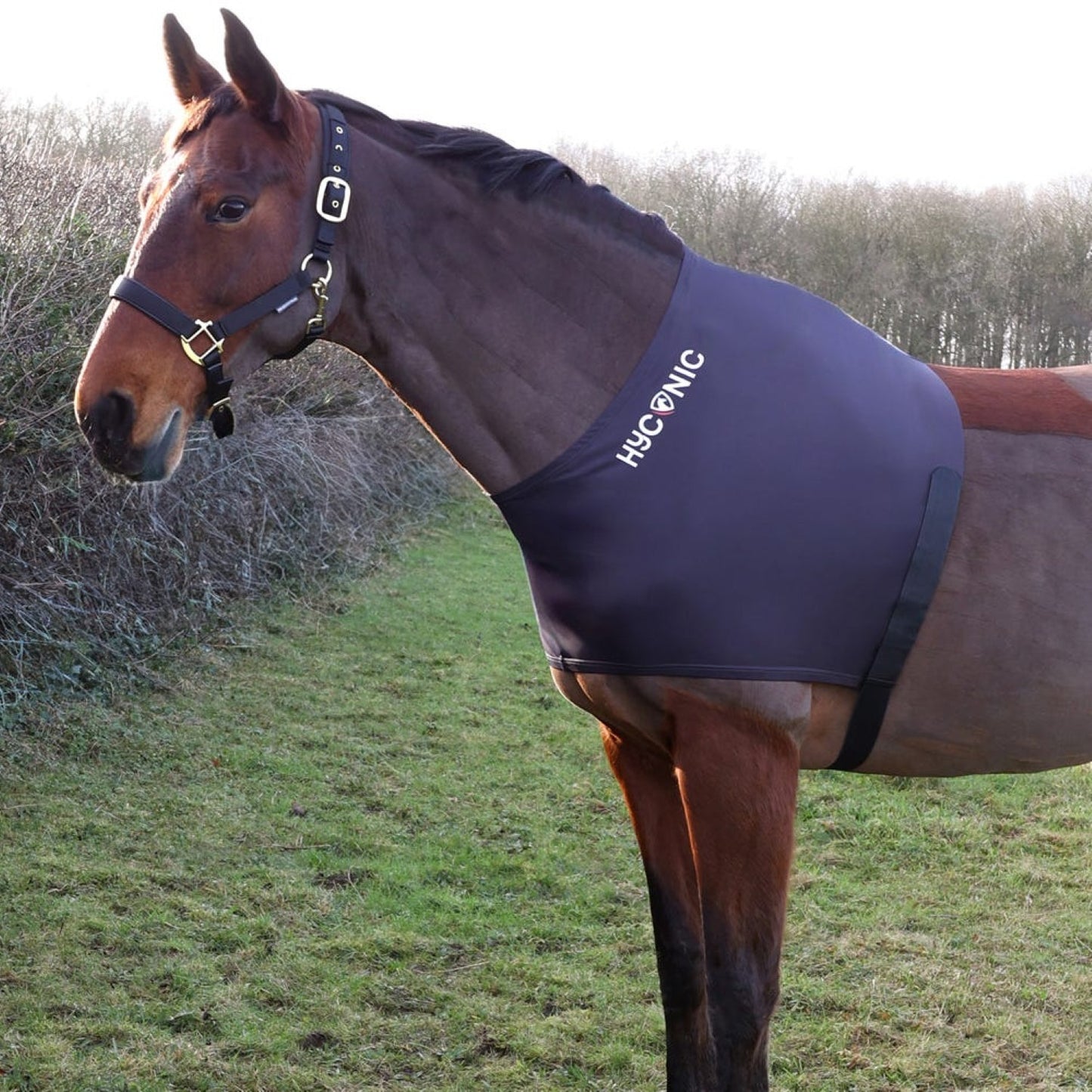 HyCONIC Lycra Shoulder Vest Charcoal - Full