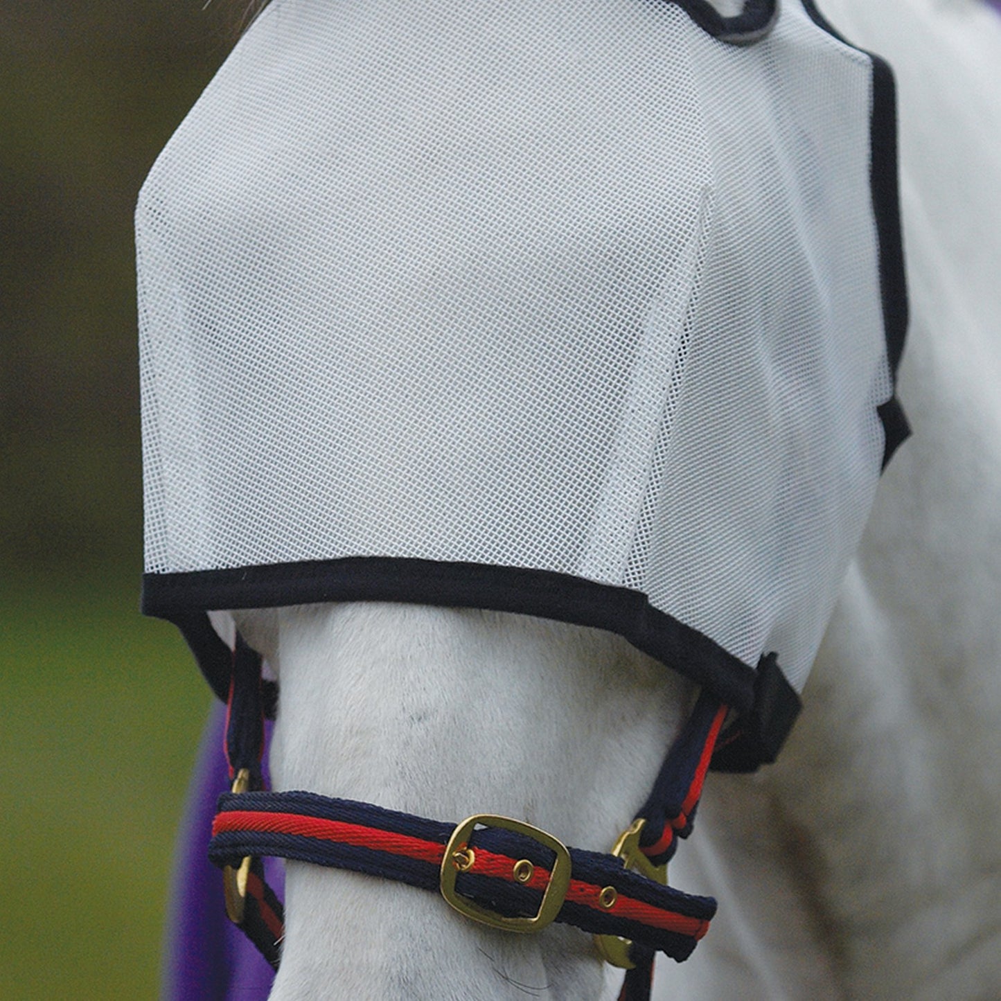 Hy Equestrian Fly Eye Shield