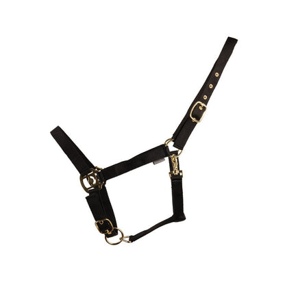 HyCONIC Headcollar