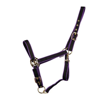 HyCONIC Headcollar