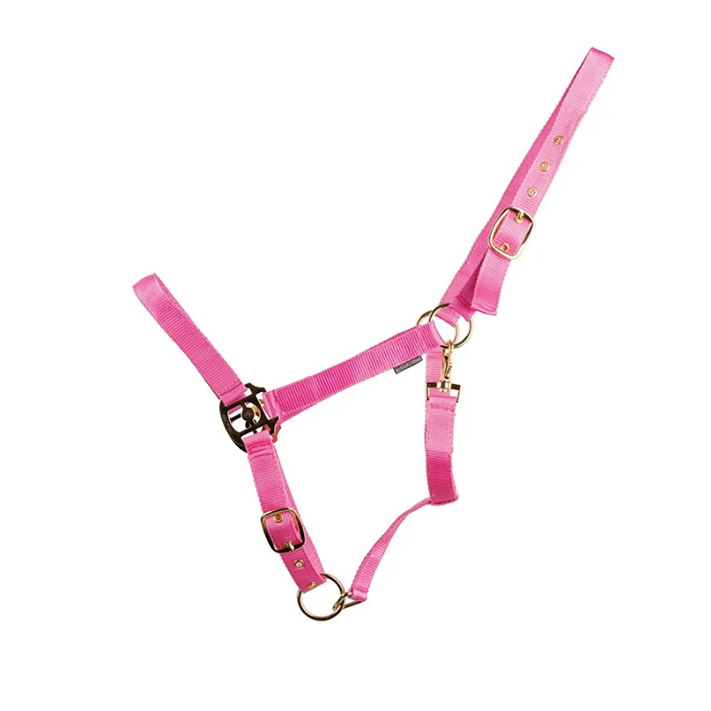 HyCONIC Headcollar