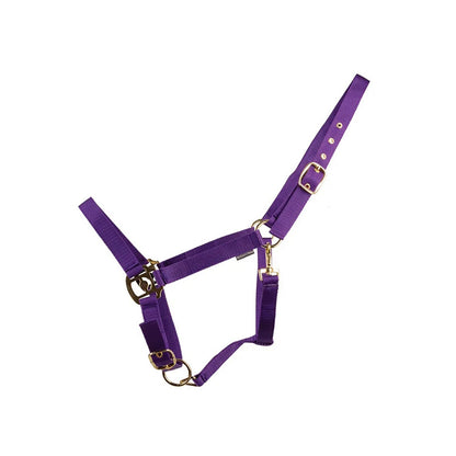 HyCONIC Headcollar