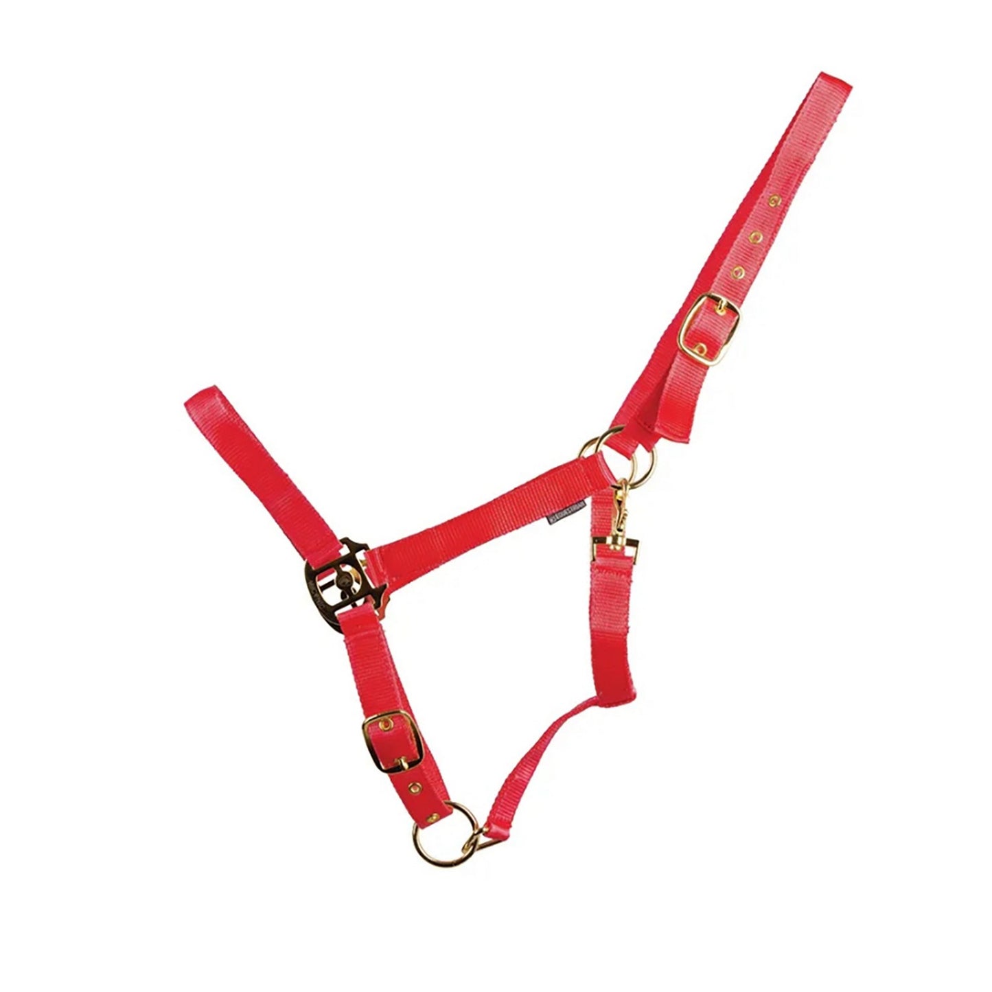 HyCONIC Headcollar