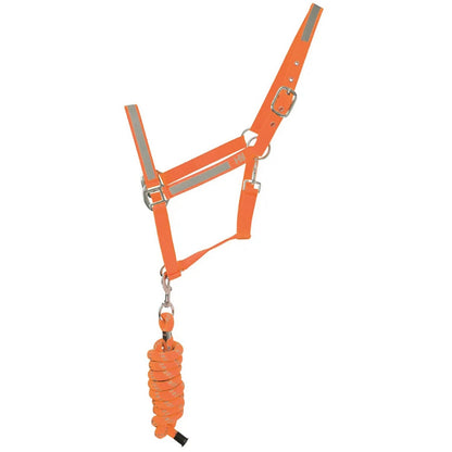 Reflector Headcollar & Lead Rope