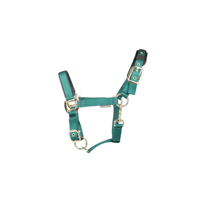 Hy Equestrian Deluxe Padded Headcollar