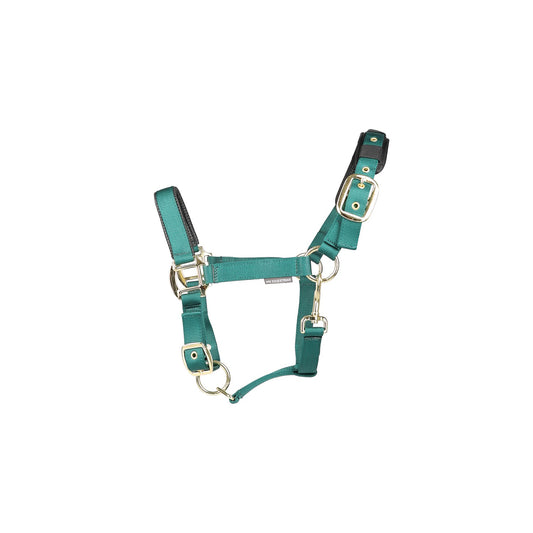 Hy Equestrian Deluxe Padded Headcollar