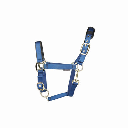 Hy Equestrian Deluxe Padded Headcollar