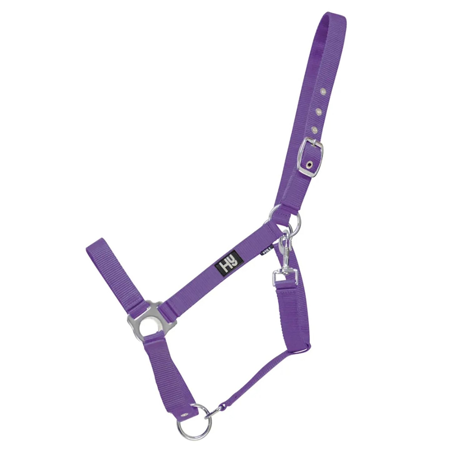 Hy Equestrian Economy Plus Headcollar Purple - Full