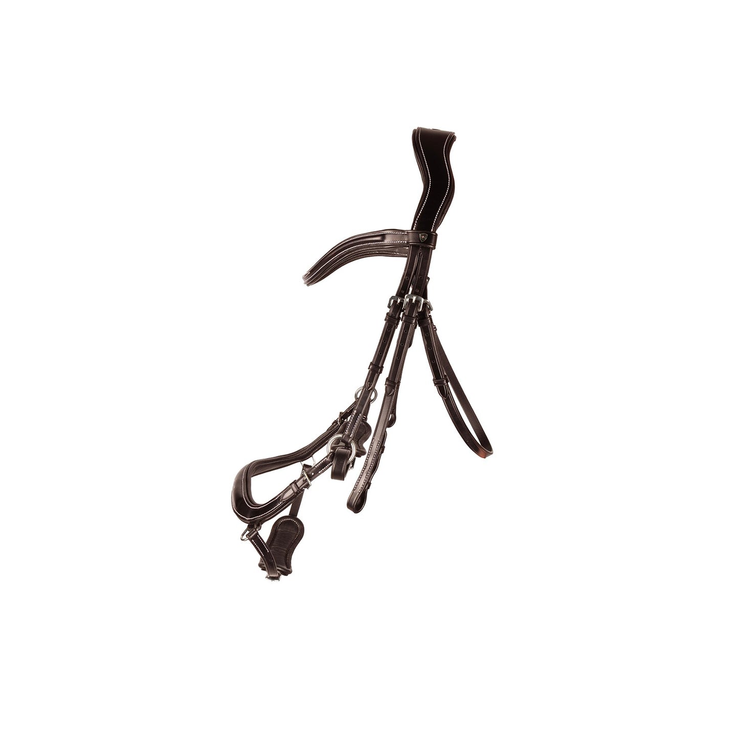 ProPresicce Pelle Drop Leather Bridle
